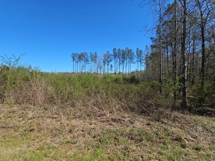 Butler Rd Tract 3 15