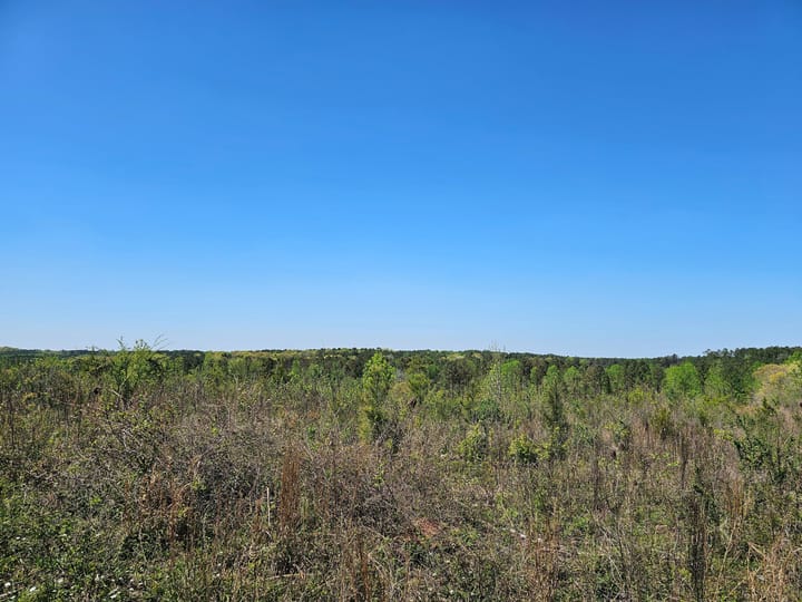 Butler Rd Tract 3 06