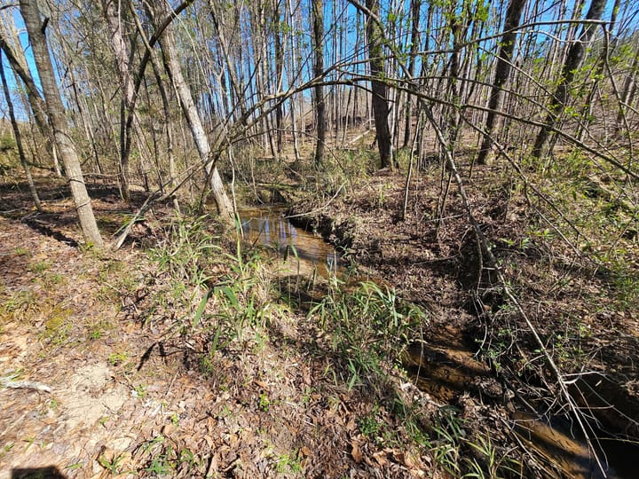 Butler Rd Tract 3 08