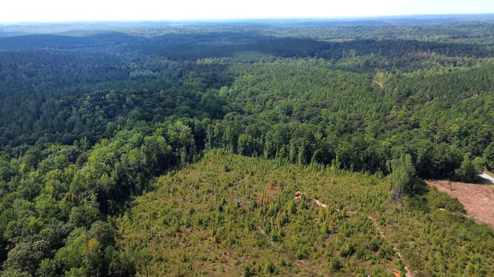 Butler Rd Tract 2 08