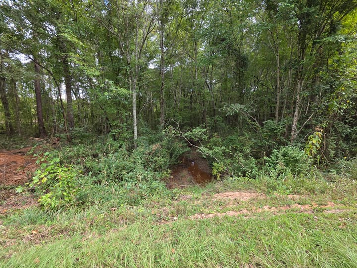 Butler Rd Tract 2 02