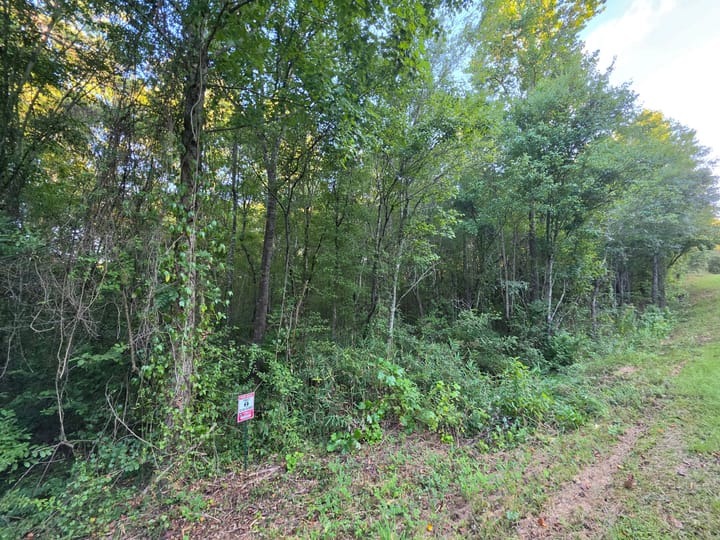 Butler Rd Tract 2 05