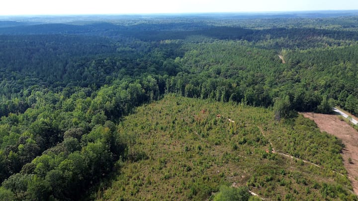 Butler Rd Tract 2 12