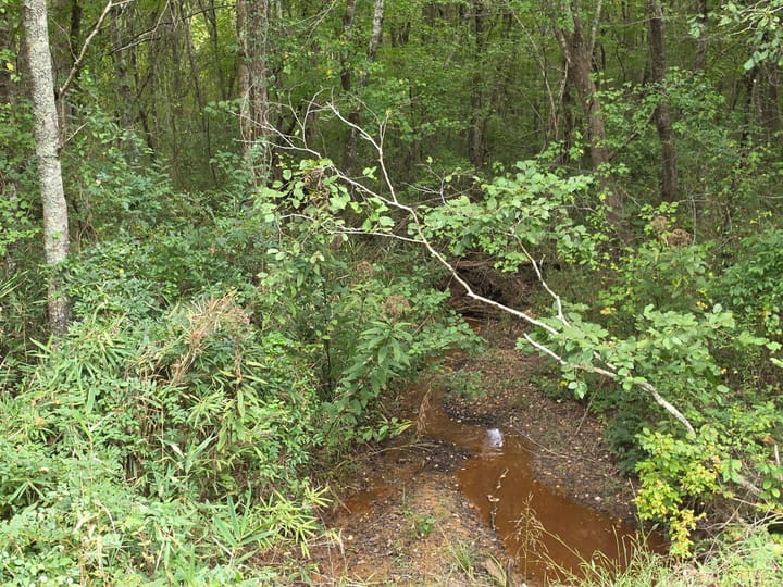 Butler Rd Tract 2 01