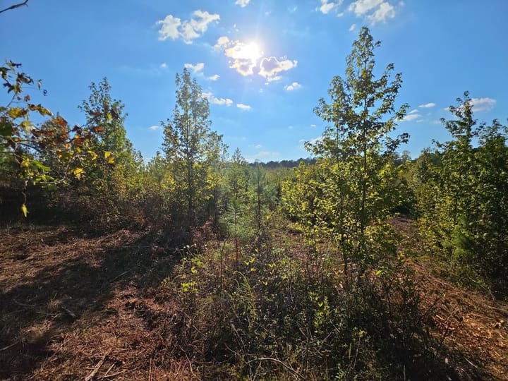 Victory Rd Tract 8 11