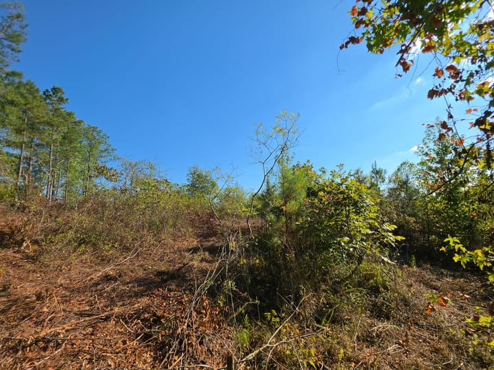 Victory Rd Tract 8 10