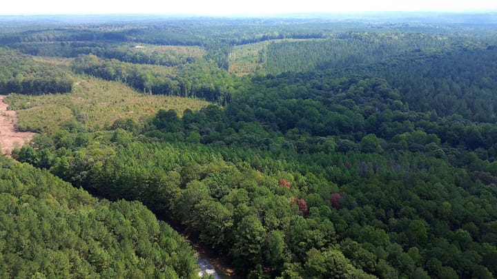Butler Rd Tract 1 04