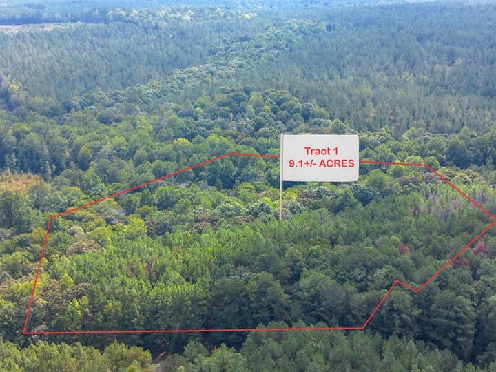 Butler Rd Tract 1 01