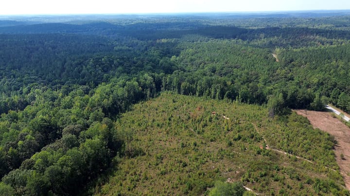 Butler Rd Tract 1 05