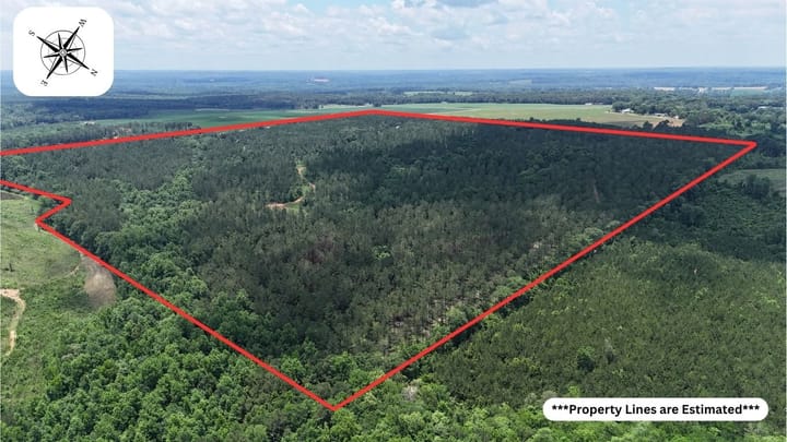 Yarbrough 138 Property Lines 21 