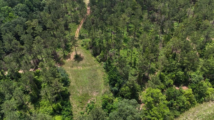Dji Fly 20260531 123016 0001 1780933232661 Photo