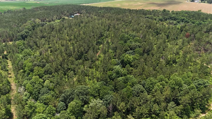 Dji Fly 20260531 123346 0005 1780933231947 Photo