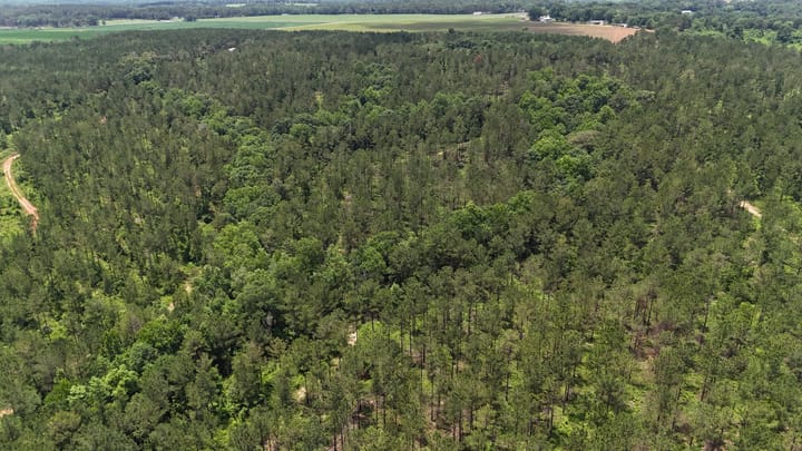 Dji Fly 20260531 123502 0007 1780933230547 Photo