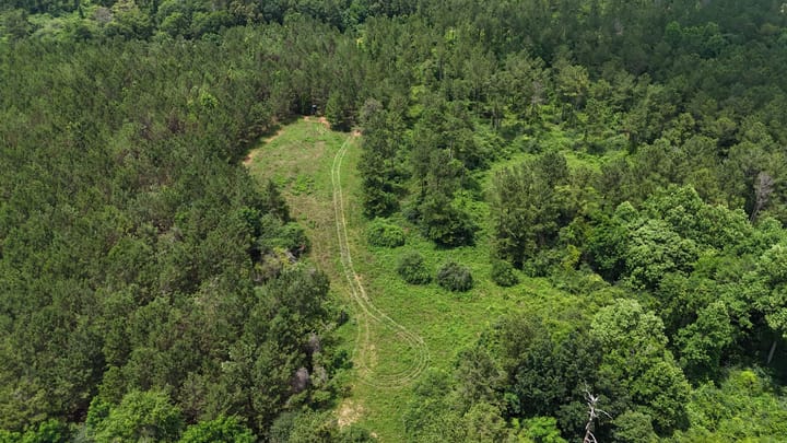 Dji Fly 20260531 133822 0020 1780933222022 Photo
