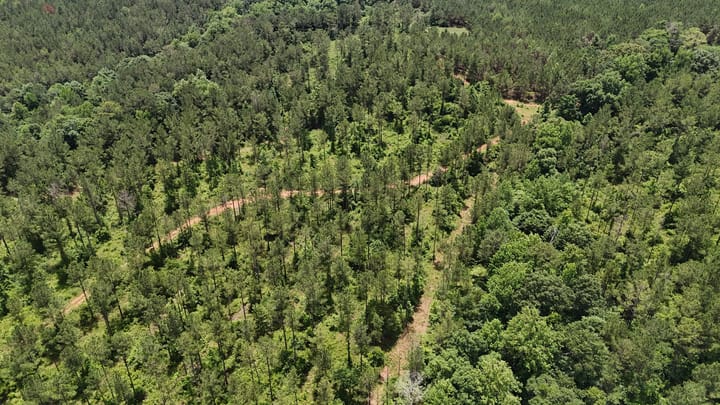 Dji Fly 20260531 123402 0006 1780933231355 Photo