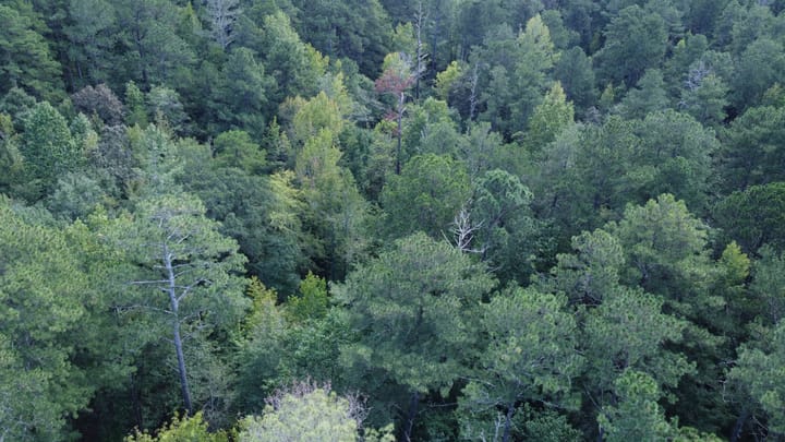 Dji 0665 Jpg