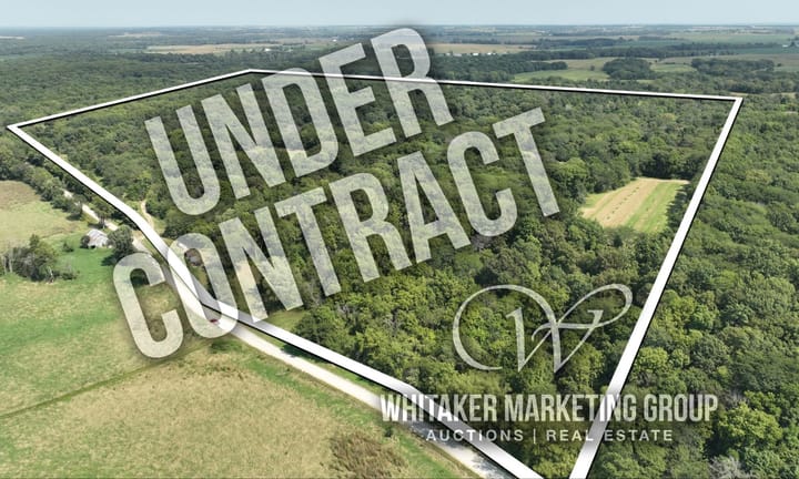 Wmg Under Contract