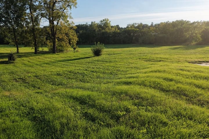 Jasper County Commercial Land For Sale 9 
