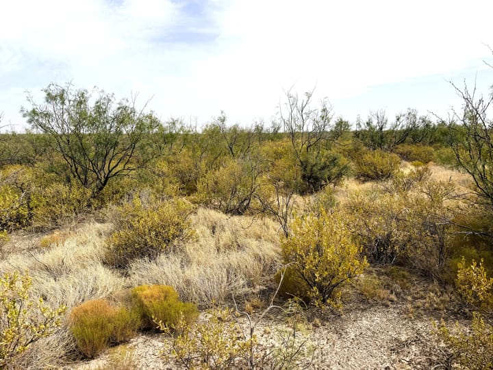 Native Rangeland