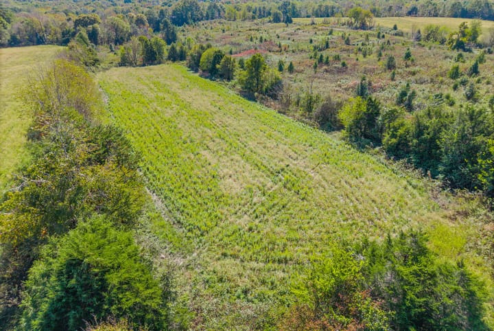 26 Web Or Mls Eli Road
