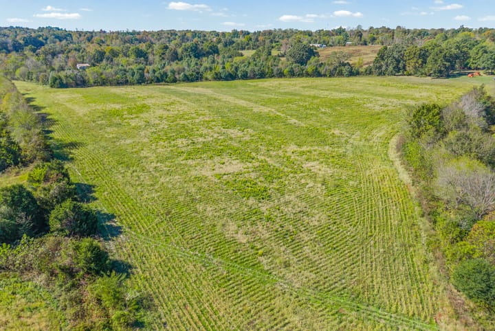 24 Web Or Mls Eli Road