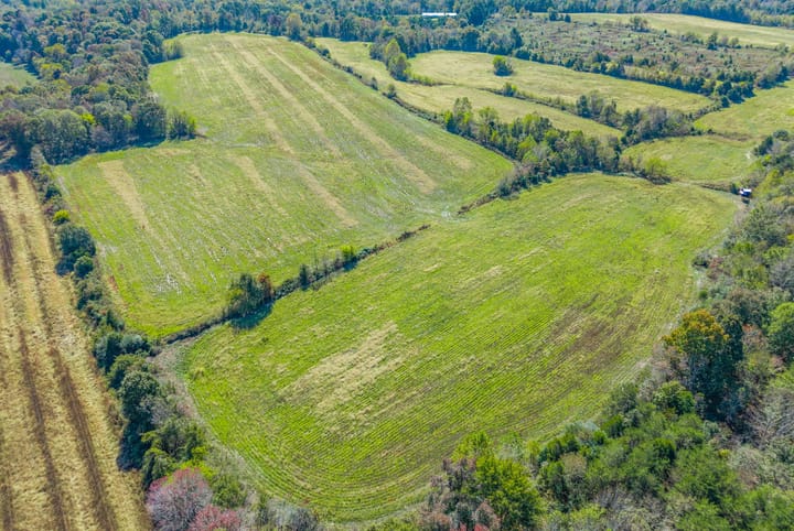 21 Web Or Mls Eli Road