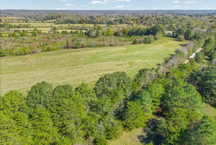 41 Web Or Mls Eli Road