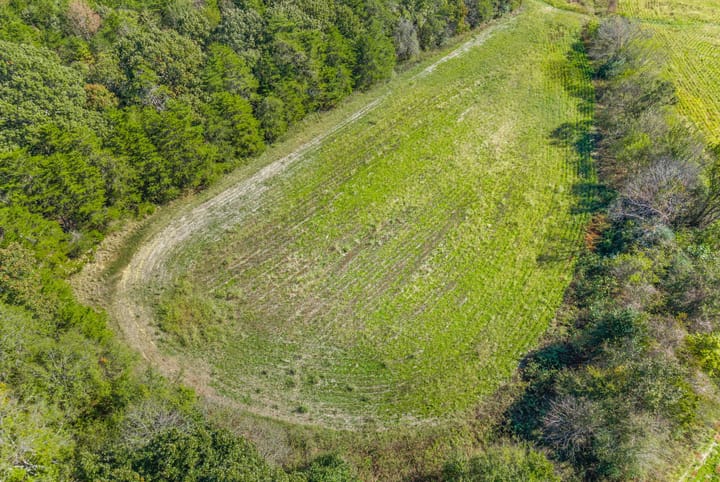 31 Web Or Mls Eli Road