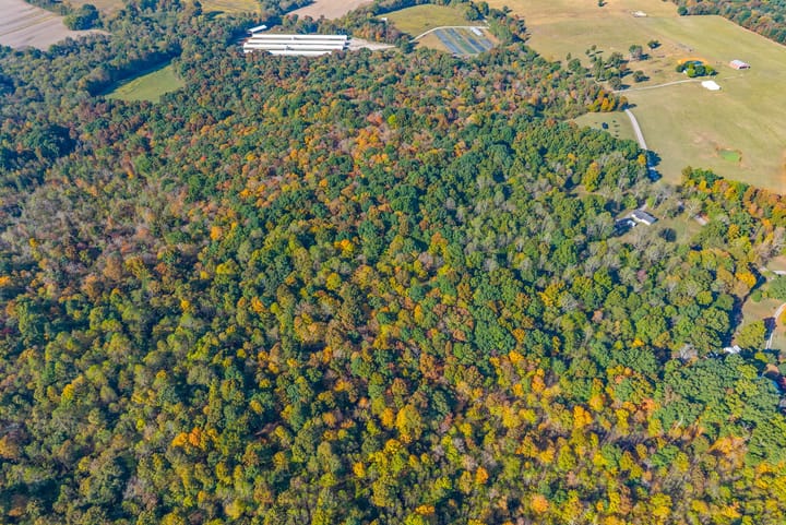 64 Web Or Mls 16350 Froghop Rd