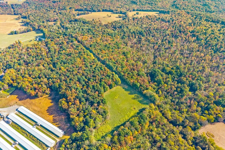 59 Web Or Mls 16350 Froghop Rd