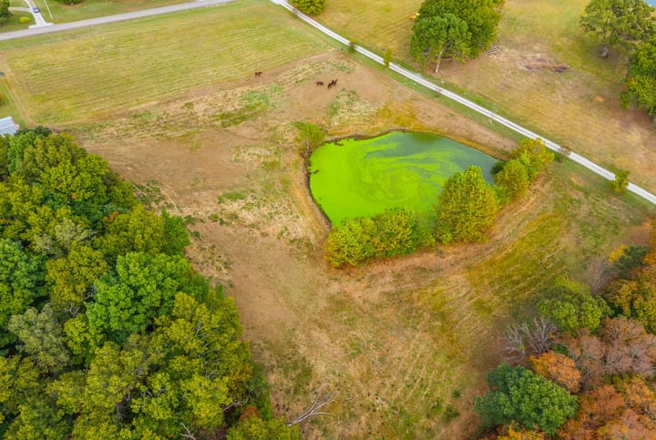 74 Web Or Mls 1647 Poole Mill Rd