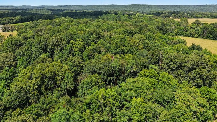 Dji 20260821150525 0145 D