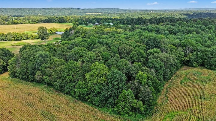 Dji 20260821150504 0142 D