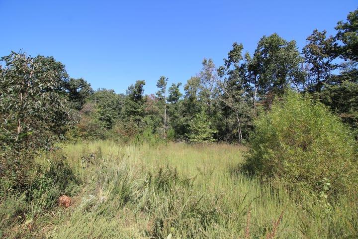 Img 52976603