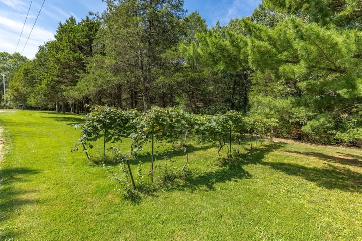 11 Web Or Mls 011 250 Meadow Woods Rd Hillsboro Mo