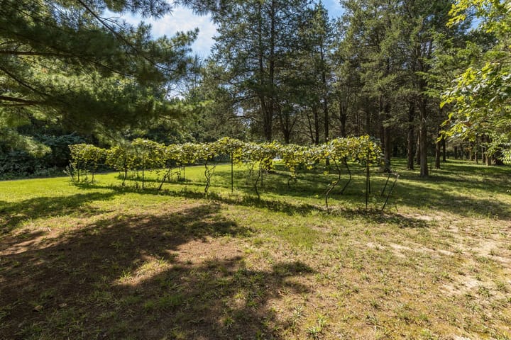 10 Web Or Mls 010 250 Meadow Woods Rd Hillsboro Mo