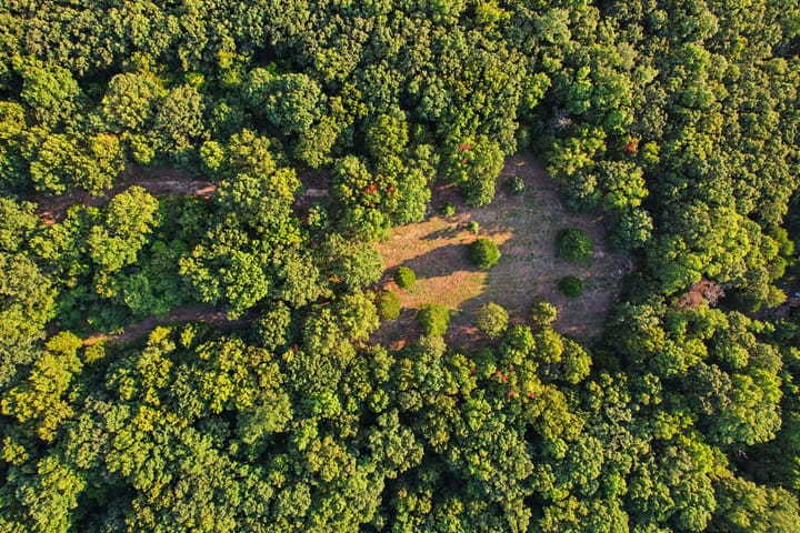 Dji 0055
