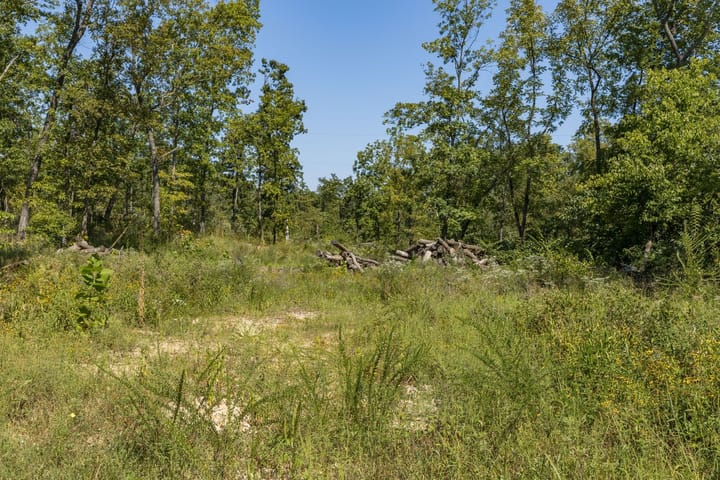 18 Web Or Mls 018 3001 Crow Ln Bonne Terre Mo