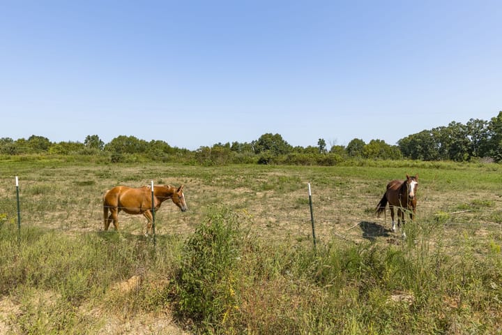 15 Web Or Mls 015 3001 Crow Ln Bonne Terre Mo