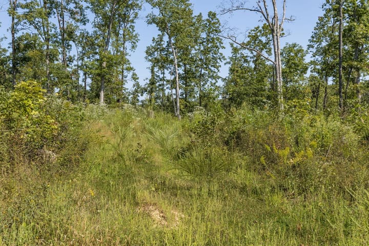 17 Web Or Mls 017 3001 Crow Ln Bonne Terre Mo