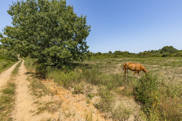 16 Web Or Mls 016 3001 Crow Ln Bonne Terre Mo