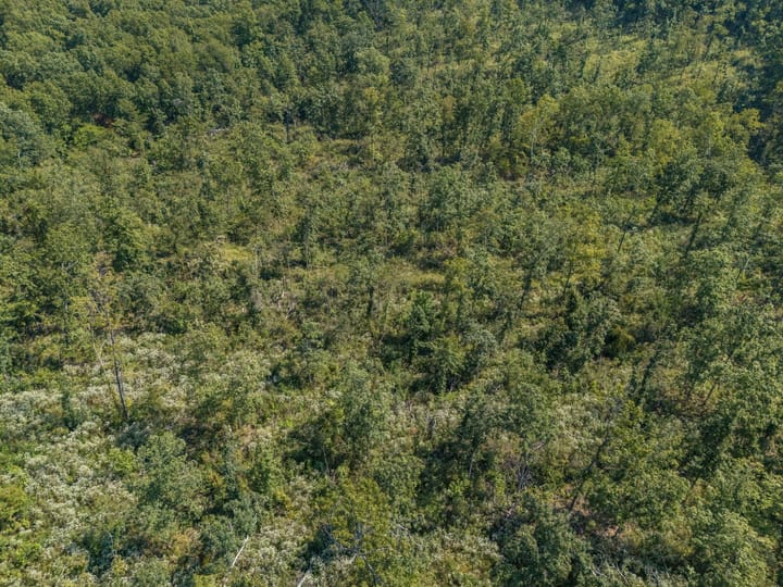 36 Web Or Mls 036 3001 Crow Ln Bonne Terre Mo