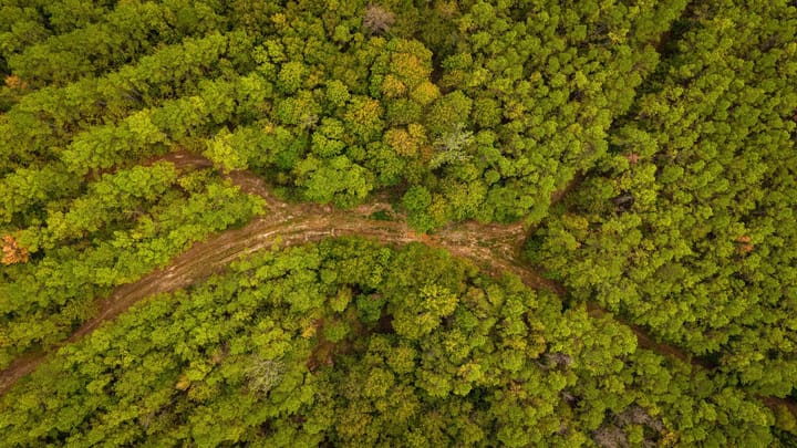 Dji 20260924133050 0310 D