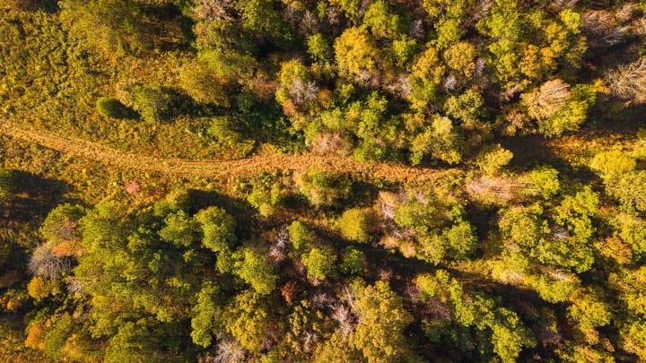 Dji 20261029091108 0424 D