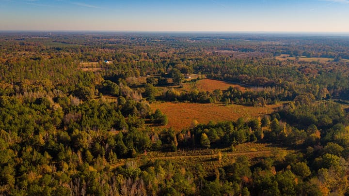 Dji 20261029090946 0423 D
