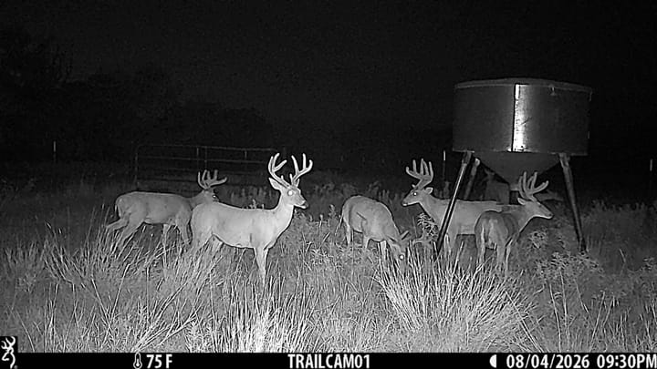 The Refuge in Stephens County Deer