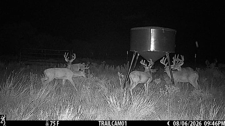 The Refuge in Stephens County Deer