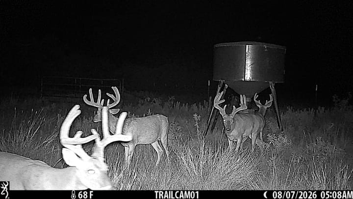 The Refuge in Stephens County Deer