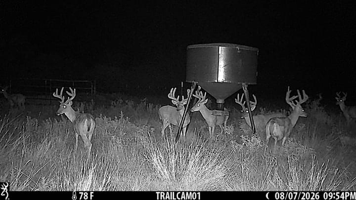 The Refuge in Stephens County Deer