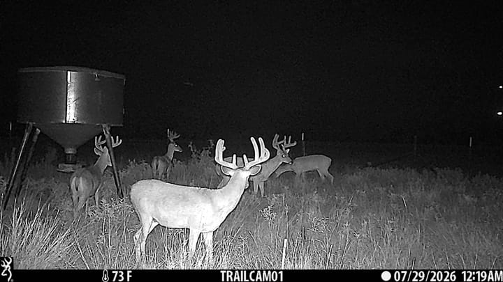 The Refuge in Stephens County Deer